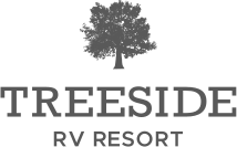 treeside-branding